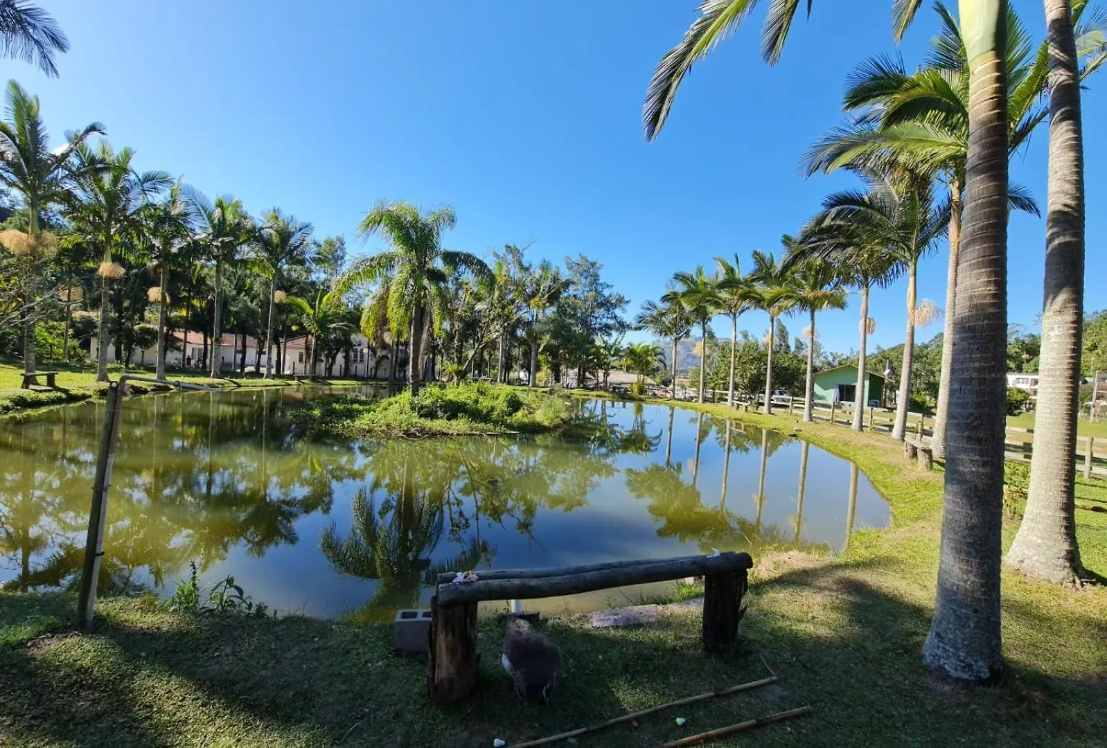 Hotel Termas Da Guarda Tubarão