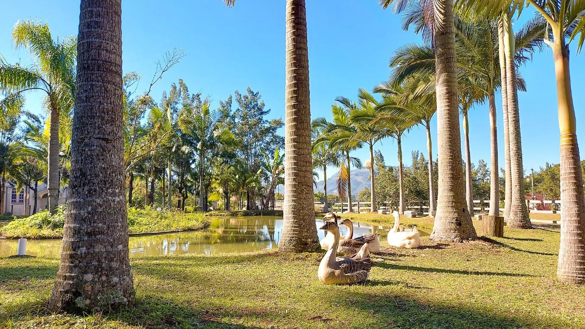 Hotel Termas Da Guarda Tubarão